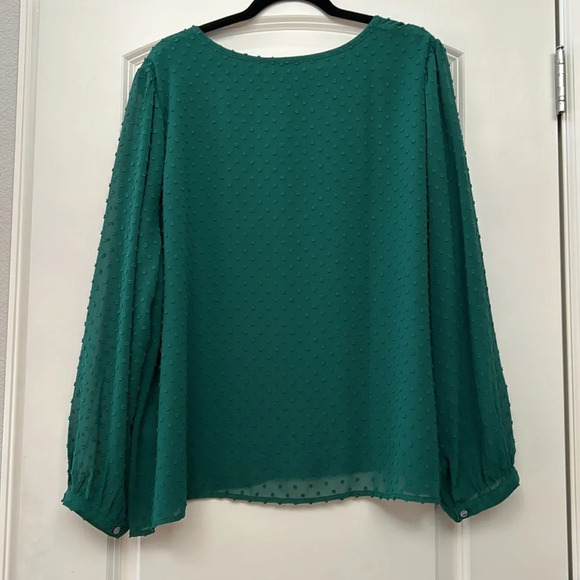J Crew Kelly Green 2X Swiss dot v neck blouse. Lined in front. EUC - Picture 5 of 10